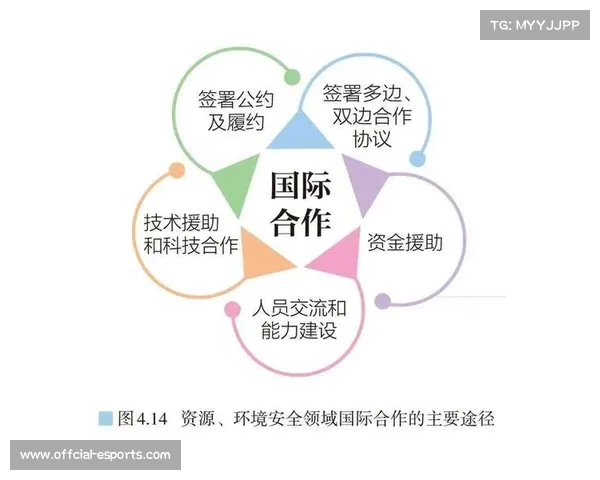 国际合作深化 中国赛事标准参与全球竞争